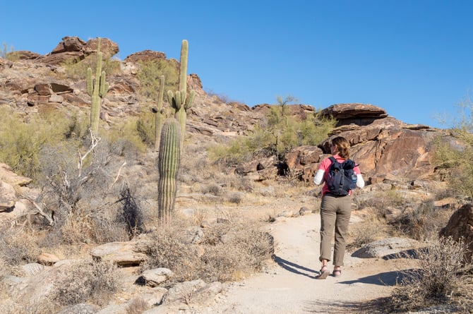 Best Hiking in Scottsdale, AZ