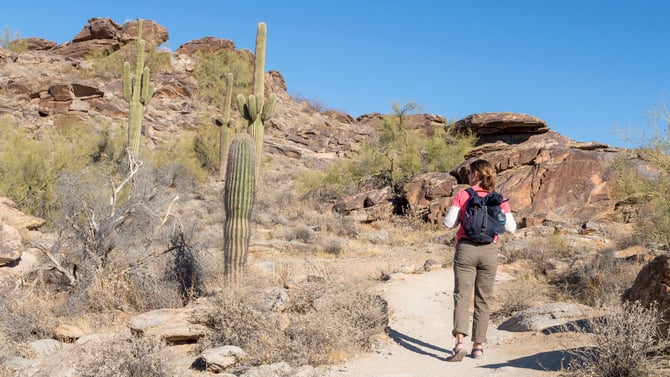 Best Hiking in Scottsdale, AZ