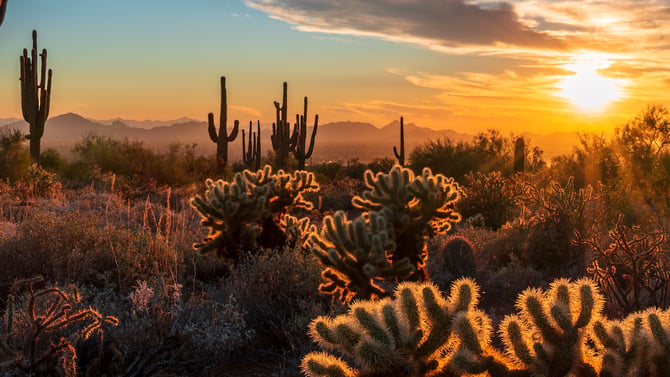 Scottsdale Vacation Rentals