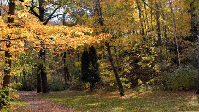 Kohler Wisconsin